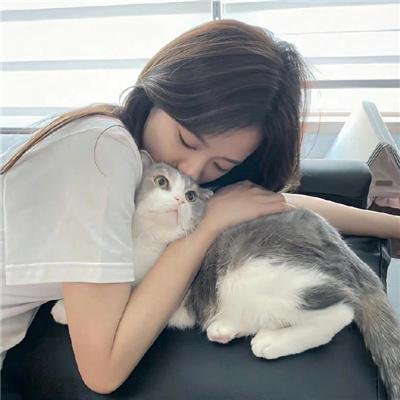 犬心犬意